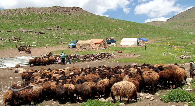 هنوز تمامی عشایر خراسان رضوی به تائید مرکز آمار ایران نرسیدهاند