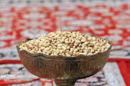 خودروسازان برند پسته و خرما ایران را در جهان بدنام میکنند