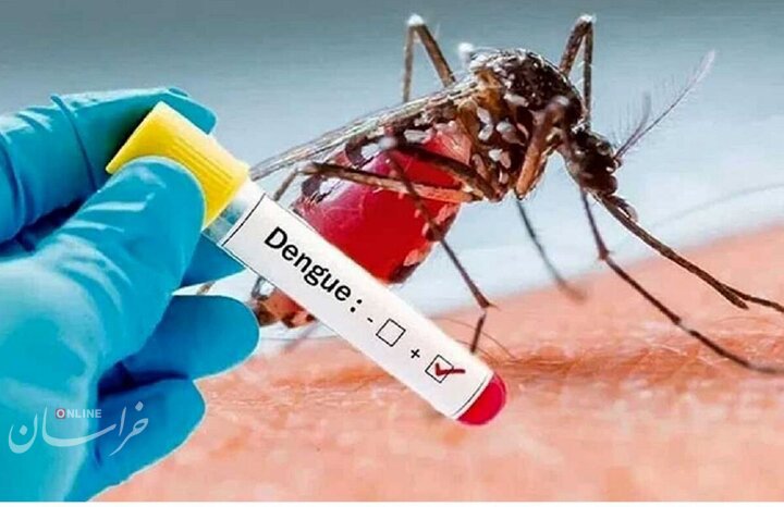 خطر همهگیری بیماری تب دنگی در کشور