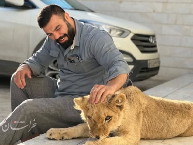 شیر و ببر و تمساح، حیوان خانگی هستند؟/ قوانین چه میگوید؟
