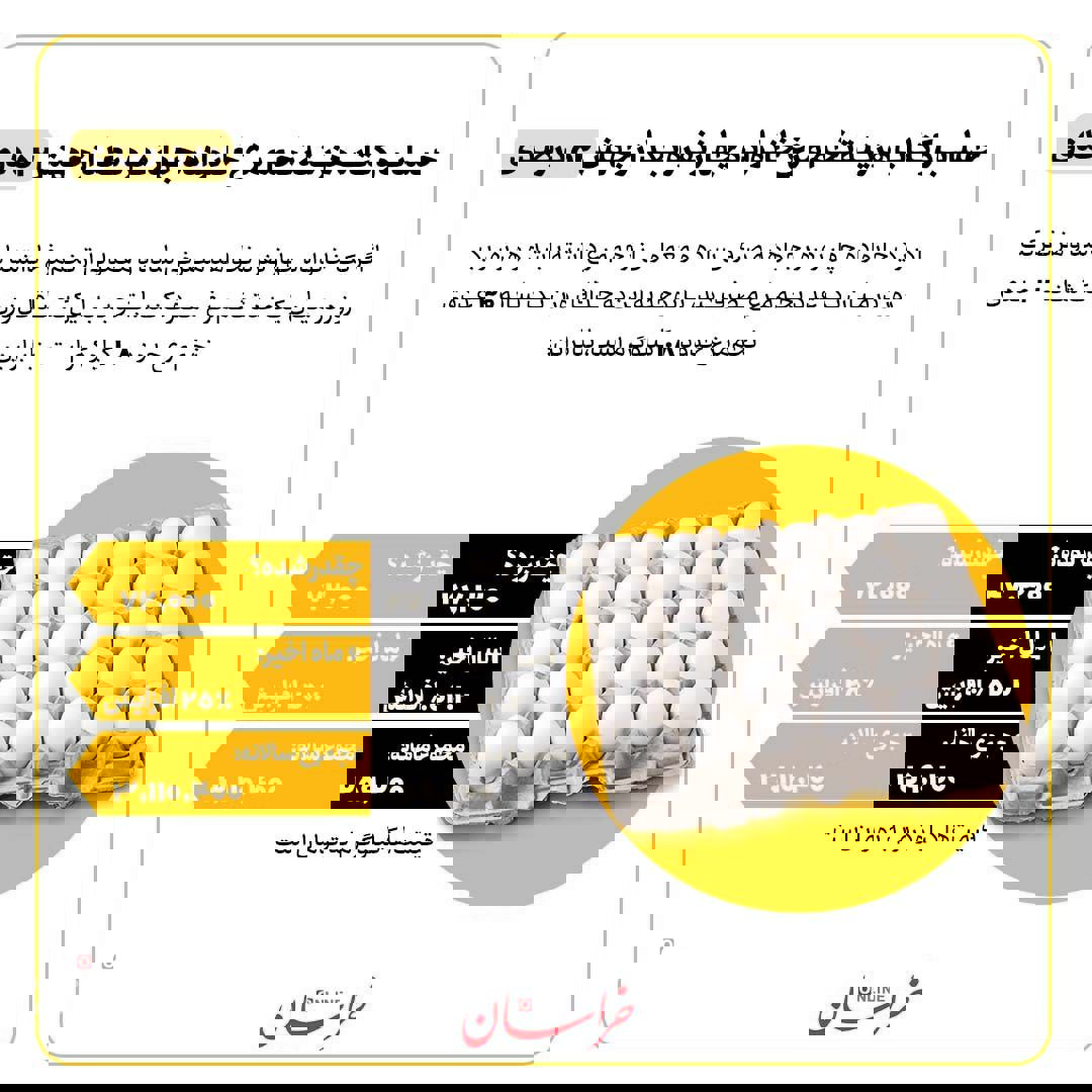 حساب و کتاب هزینه مصرف تخم مرغ یک خانواده چهار نفره بعد از جهش ۵۲.۲ درصدی
