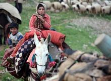 عشایر کشور صاحب ۲ کد پستی میشوند/ هر چادر عشایری یک فرصت گردشگری خواهد شد