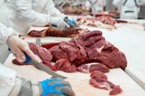 توقف عرضه گوشت قرمز یارانهای به دلیل حذف ارز ترجحی؛ گوشت گران تر می شود